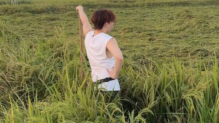 没有我的衬托，他们何来的优秀？