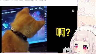 日本萝莉看《我家猫好像网恋了》直接绷不住