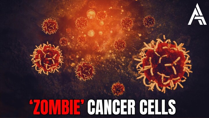 Are ‘Zombie’ Cancer Cells Why the Disease Sometimes Returns?