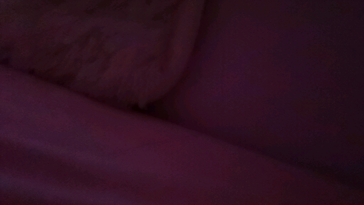 You have no conscience for waking me up! You have no conscience for waking me up! You have no consci
