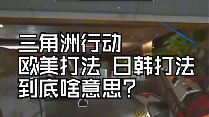 Delta Operation: Phong cách chơi của châu Âu và Mỹ, phong cách chơi của Nhật Bản và Hàn Quốc rốt cuộ