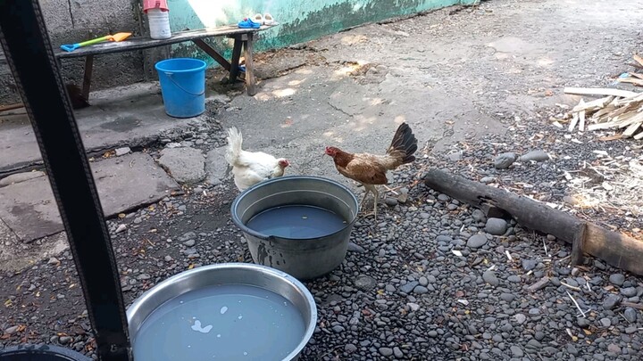 mga marites nag pa pawis😅