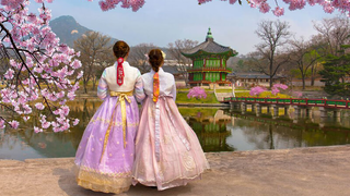 Đất nước thôn làng con người Hàn Quốc #videohaynhat