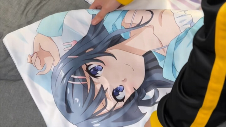 You’ve got the figures, right? And the pillowcases, too?