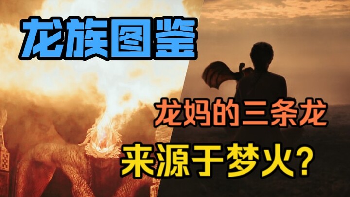 龙族图鉴:龙妈的三条龙来源于梦火？