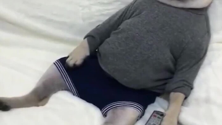 The little animals really rack their brains just to get out and have some fun~!