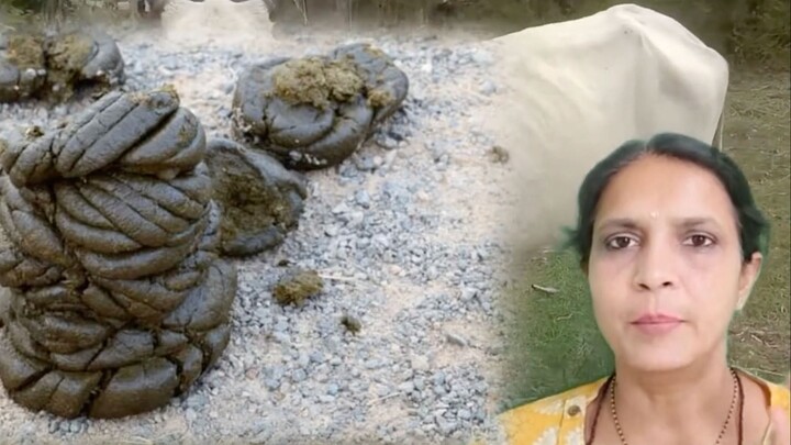 21 GAAND KI CHAMATKAR SURABHI MALL LLC GILBERT, ARIZONA GA@NDLOVER RUNDI DIPIKA PATEL [GXvck7s9vwI]