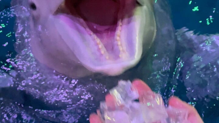 Have some ice cubes to quench your thirst early in the morning!