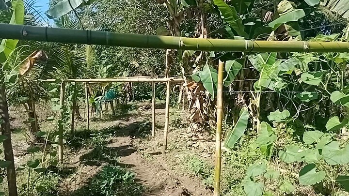 bossing tv farmers life