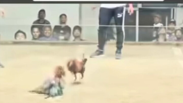 Jade Resort vs Blue Diamond