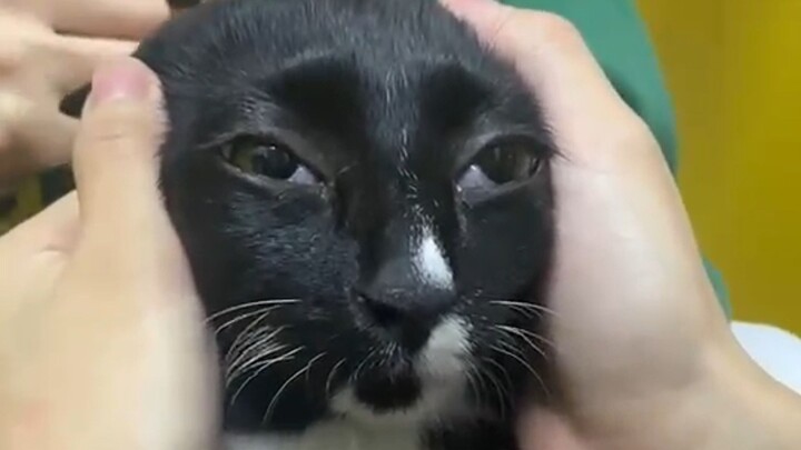 《 孩子本来就傻，你还逗它 》