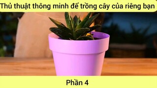 Thủ thuật thông minh để trồng cây của riêng bạn #4