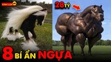🔥 8 Bí Ẩn Ly Kỳ Và Thú Vị về Loài Ngựa Mà Chưa Có Ai Nói Đầy Đủ Cho Bạn Biết | Kính Lúp TV