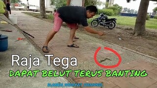 Aksi Banting Belut Pemancing ini bikin Geram