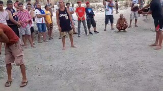 Unang panalo ng manok ng Utol ko😁