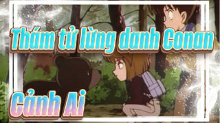 [Thám tử lừng danh Conan] Cảnh Ai/ TV212(228)-1 Mushroom,Mountain Bear & Detectives Team_2