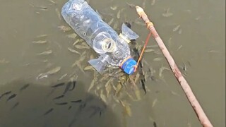 鱼：你个死老六，老窝都被你戳破了！