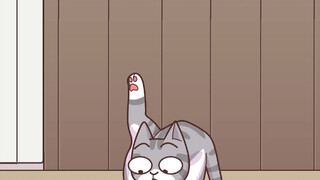 猫咪拉屎不埋就算了，还留半坨挂屁股晃！