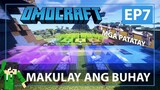 OMOCRAFT EP7 - MAKULAY NA ANG AUTOMATIC WOOL FARM (Minecraft Tagalog)