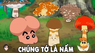 Chúng Tớ Là Nấm Đây | Shin Cậu Bé Bút Chì Tổng Hợp Tập Mới Hay Nhất Phần 764 | #CHIHEOXINH