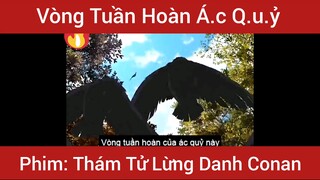 Review Phim Thám Tử Lừng Danh Conan