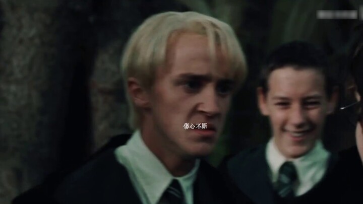 【Drarry/Deha】My preference for you is too blatant丨Xiaoban丨Chen Li丨Draco Malfoy x Harry Potter丨DMHP
