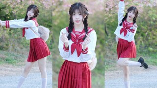 Hoa anh đào nở rồi~ Hãy cùng tôi hẹn hò ngọt ngào nhé! 【Wangzai】