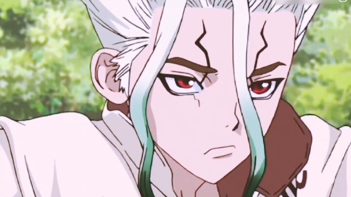 How do you evaluate the animation "Dr. Stone"?