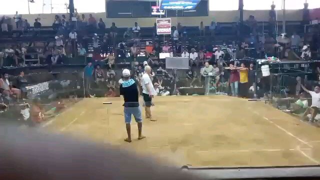 Grey on action😂