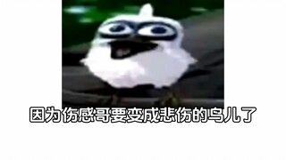 【小C祖】更新啦，赶紧来围观吧！