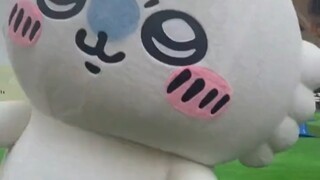 可爱飞鼠摇尾巴