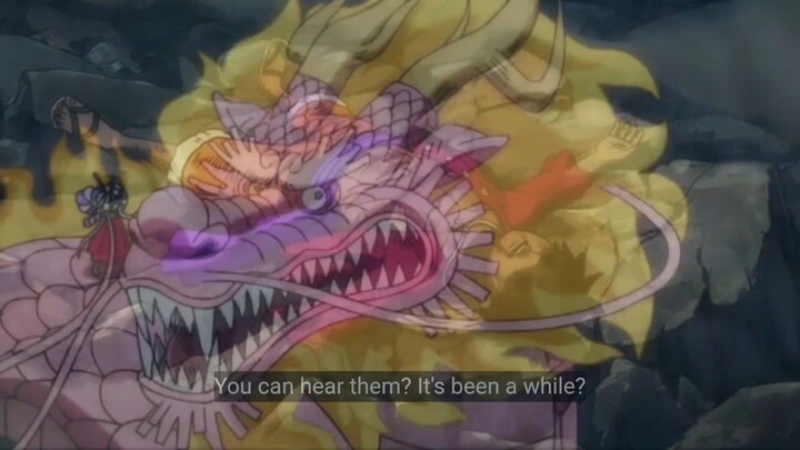 Kaido di bantai Luffy!?