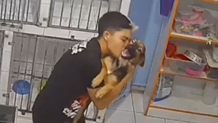 This adorable pet groomer was caught on camera showing off his magic to the world, bringing love, ca