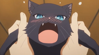 It turns out that cats can turn into beautiful girls! The famous scene in the anime where he transfo