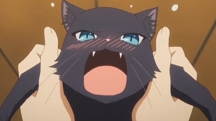 Ternyata kucing bisa berubah menjadi gadis cantik! Adegan terkenal di anime dimana dia berubah menja