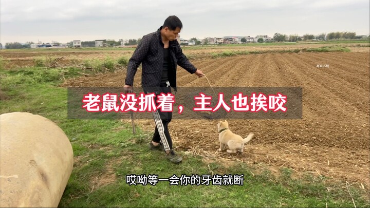 The young man trains his dog to catch mice, but the pup gets so anxious it nips at its owner’s leg.