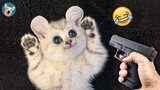 ðŸ™€ OMG So Cute â™¥ Funny Cats and Dogs 2021| Aww Pets