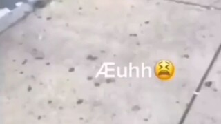 kucing nya 😢😢😢☝