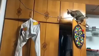 This jump has only made an already financially struggling family even worse off.