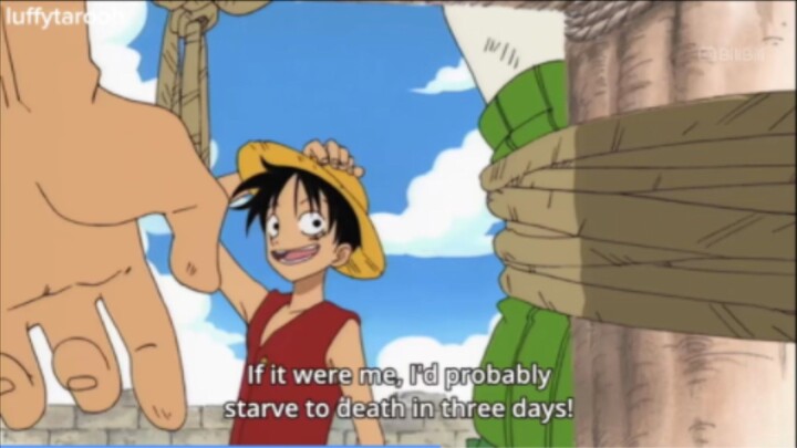 "Are you really strong at all?" Luffy to Zoro 🧐|One Piece