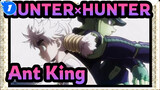[HUNTER×HUNTER] Ant King Is Obsessed With Chess_C1
