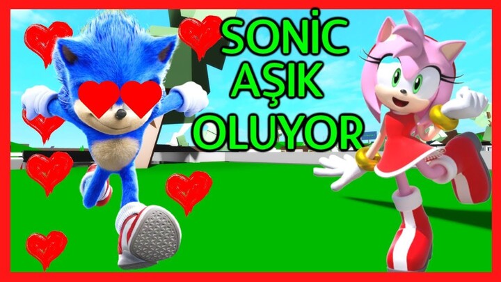 ROBLOX Brookhaven 🏡RP - FUNNY MOMENTS- Bad Guy Kidnapped So.nic Hedgehog's Girl