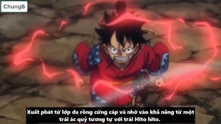 Nguồn Gốc Xuất Thân Của Kaido_ - Mối Liên Hệ Với Loài Rồng I Giả Thuyết One Piece p8