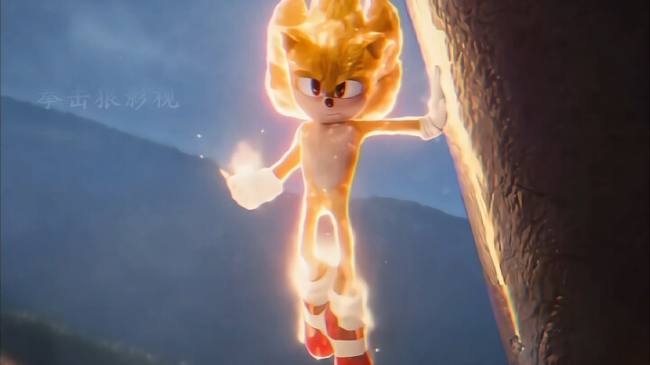 Bagus sekali, Sonic! ! !