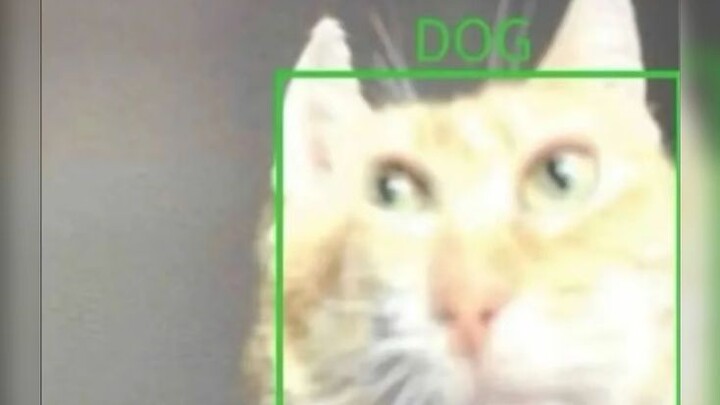 【MeMe Container】#247 You’ll Never Guess What Happens Next