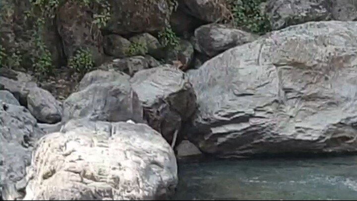 cast netting in Nepal | himalayan trout fishing with handmade cast net |