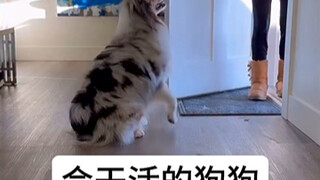 我妈：你不结婚老了以后谁照顾你？ 我：请看vcr