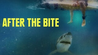 After the Bite 2023 Subtitle Indonesia