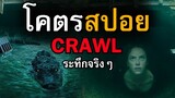 สปอยหนังจระเข้ Crawl คลานขย้ำ | หนังจระเข้ที่ดีที่สุดตลอดกาล