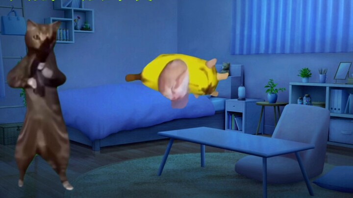 【Cat meme】My ex-husband had sex with five girls at the same time at the company without my knowledge